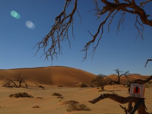 Namibia-Sossusvlei  (1)              