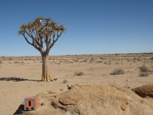 Namibia_ Naukluft Park       